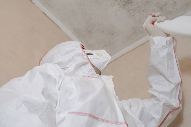 Best Toxic Mold Removal  in Depoe Bay, OR