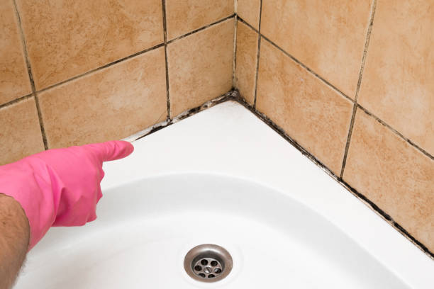 Best Fast Mold Removal  in Depoe Bay, OR